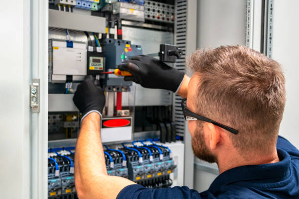 Best Electrical Upgrades for Homes  in Palmetto, FL