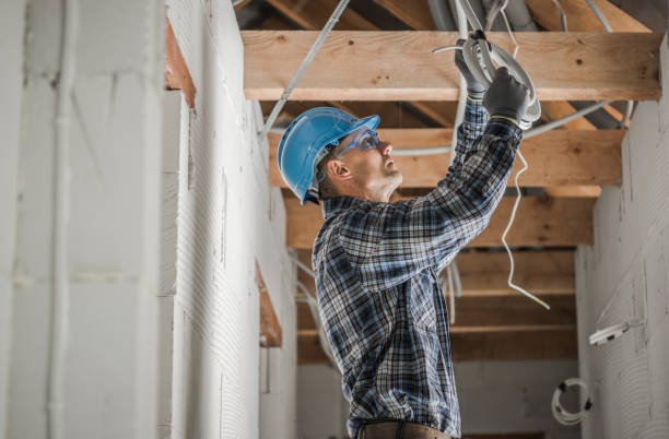 Best Ceiling Fan Installation Electrician  in Palmetto, FL
