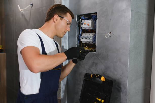 Best Affordable Electrician  in Palmetto, FL